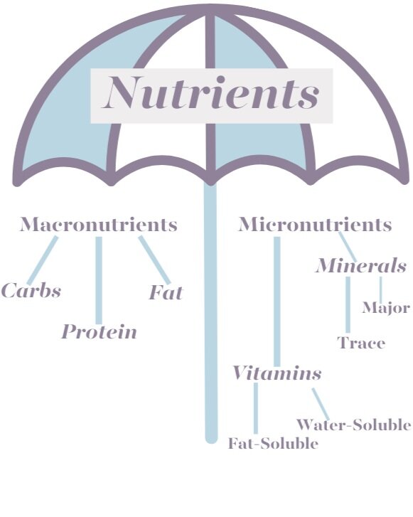 Nutrients+Breakdown